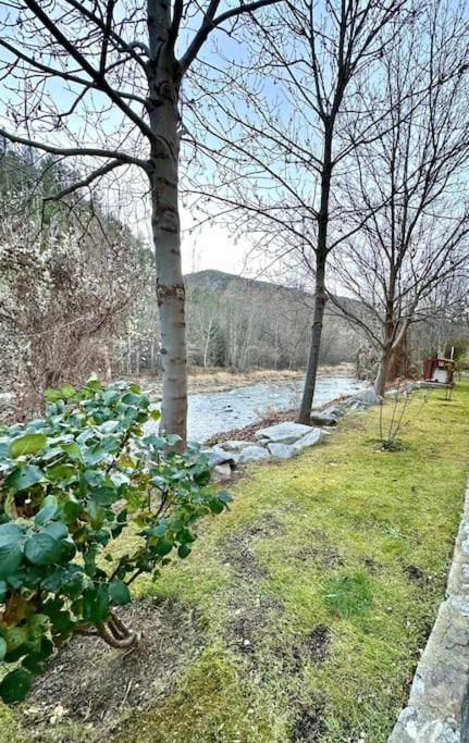 Acogedor Alojamiento En Martinet, Cerdanya, Puigcerda Buitenkant foto