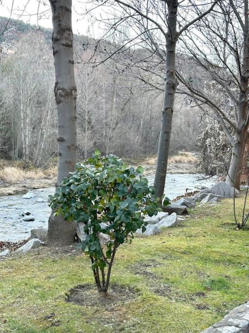 Acogedor Alojamiento En Martinet, Cerdanya, Puigcerda Buitenkant foto